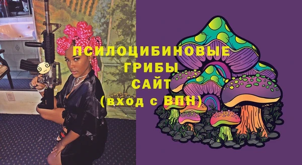 spice Аркадак