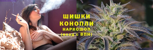 spice Аркадак