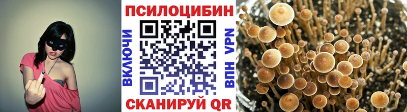 Псилоцибиновые грибы прущие грибы Купить Яранск